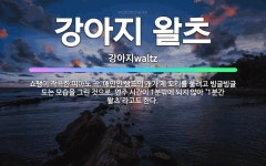 🌟강아지 왈츠: 쇼팽이 작곡한 피아노 곡. 애인인 상드의 개가 제 꼬리를 물려고 빙글빙글 도는 모습을 그린... - 표준국어대사전