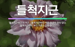 🌟들척지근: ‘들척지근하다’의 어근. (들척지근하다: 약간 들큼한 맛이 있다. ‘들쩍지근하다’보다 거센 느... - 표준국어대사전