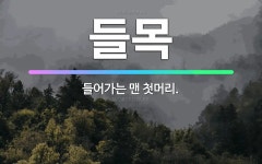 🌟들목: 들어가는 맨 첫머리. - 표준국어대사전