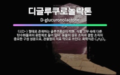 🌟디글루쿠로놀락톤: 디(D-) 형태로 존재하는 글루쿠론산의 락톤. 식물 고무 속에 다른 탄수화물과의 중합체... - 표준국어대사전