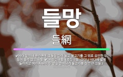 🌟들망: → 후릿그물. (후릿그물: 강이나 바다에 넓게 둘러치고 여러 사람이 두 끝을 끌어당겨 물고기를 잡... - 표준국어대사전