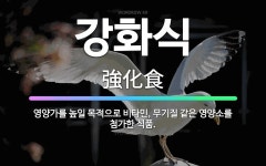 🌟강화식: 영양가를 높일 목적으로 비타민, 무기질 같은 영양소를 첨가한 식품. - 표준국어대사전