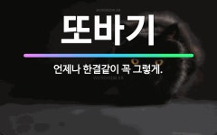 🌟또바기: 언제나 한결같이 꼭 그렇게. - 표준국어대사전