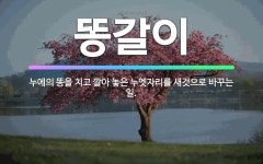 🌟똥갈이: 누에의 똥을 치고 깔아 놓은 누엣자리를 새것으로 바꾸는 일. - 표준국어대사전