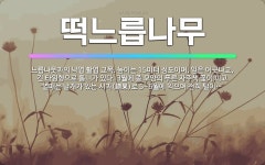🌟떡느릅나무: 느릅나뭇과의 낙엽 활엽 교목. 높이는 15미터 정도이며, 잎은 어긋나고, 긴 타원형으로 톱니... - 표준국어대사전
