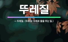 🌟뚜레질: → 두레질. (두레질: 두레로 물을 푸는 일.) - 표준국어대사전