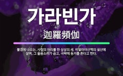 🌟가라빈가: 불경에 나오는, 사람의 머리를 한 상상의 새. 히말라야산맥의 설산에 살며, 그 울음소리가 곱고... - 표준국어대사전