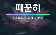 🌟때꾼히: 눈이 쏙 들어가고 생기가 없이. - 표준국어대사전