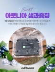 강화 석모도 아로니움글램핑, 아로니아 생과 증정 이벤트 진행