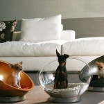 Bubble Dog Basket | Fancy.com Bubble Dog Basket