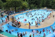 [세계로컬핫뉴스] 단양 천동물놀이장서 시원한 여름 보내세요