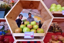 2018 청송사과축제