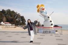 추암 오리 사진