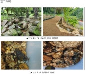 [세계로컬핫뉴스] 그 때 그 시절, 반딧불이와 다슬기를 만나보세요!