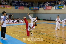 [세계로컬핫뉴스] 제 7 회 태권도 페스티벌대회 ‘성료’