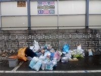 [세계로컬핫뉴스] 용현3동, 이동형 클린게시대 설치사업 확대 운영