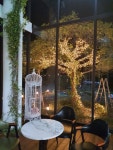 가볼만한 곳 cafe DE REVE ＂카페 드 레브＂