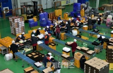 장수군 농산물유통센터, 구정 명절 앞두고 ′장수사과′ 포장으로 분주