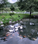 장수군, 다양한 수생식물이 공존하는 장계 공공하수처리시설..친환경 하수처리장으로 변신!