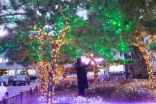 진안군청 광장, 경관조명 설치… 따뜻함 가득