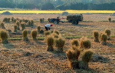 전남도, 친환경농업 기반구축사업 전국 최다