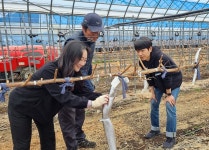 무주군, 영농현장서 답 찾는 정책 도입 눈길 특화품목 전문가 육성 위한 팜 메이트(행정+농가) 구성 무주군, 영농현장서 답 찾는 정책 도입 눈길... 