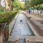 대구광역시, 본격적 여름철 맞아 수경시설‘풀 가동’