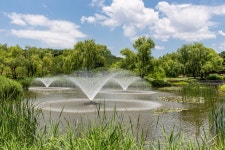 이국적 분위기 가득한 용산가족공원 친환경 ‘그린웨딩’ 상반기 19쌍 성료