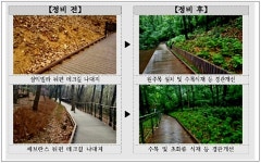 김형재 시의원, 서울시비지원 매봉산 도곡근린공원 정비사업 완료 밝혀