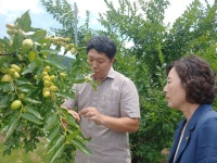박경숙 산업경제위원장 보은 대추 활성화 현장 간담회