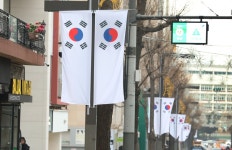 3.1절 맞아 신사동 가로수길에 펄럭이는 태극기