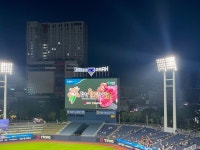 합천군, 창원NC파크서 합천황토한우 홍보 펼쳐