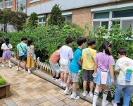 금천구, 어린이 농부들의 ‘우리 학교 텃밭 가꾸기’