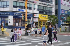 시화나래초등학교, 안전한 통학로를 위한 우회전 시 보행자 주의... 개최 시화나래초등학교, 안전한 통학로를 위한  우회전 시 보행자 주의 캠페인... 