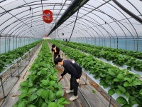 경남교육청, 수확기 농촌 일손 돕기 봉사활동 참여