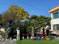 손불면, 주민들을 위한 트리 장식 설치로 큰 호응