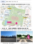 서울시,, 80주년 식목일 맞아 보라매공원에 매화숲 함께 만들 시민 모집