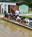 미추홀구, 용현 도시농업공원에 ‘텃논’ 조성…도시농업 실현