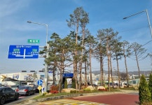 정원으로 맞이하는 서울…강변북로·개화동로·송파대로, 상징 관문으로 재탄생