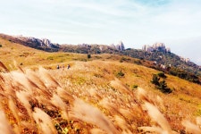 대덕구, 오정동 지역 공장지붕 태양광 사업 워크숍