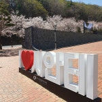 안전체험하고, 벚꽃 이벤트도 참여해요