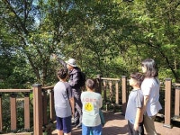 강화의 보물섬 석모도 수목원에서 다양한 숲체험 프로그램과 함께 힐링하세요! 강화의 보물섬 석모도 수목원에서  다양한 숲체험 프로그램과... 