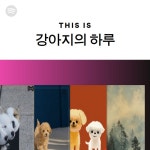This Is 강아지의 하루 | Spotify Playlist This Is 강아지의 하루