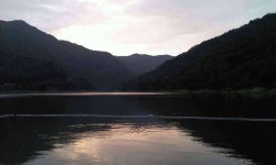 조황조행기 > 모바일간편조행 > 파로호 용호리 출조