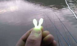 조황조행기 > 모바일간편조행 > 파로호 용호리 출조