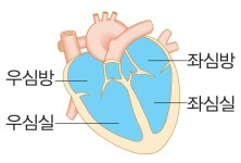 금성출판사 :: 티칭백과