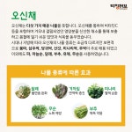 중고등 티칭허브