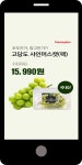 광고정보센터 MOBILE광고 :: 고당도 샤인머스캣(팩) 15,990원