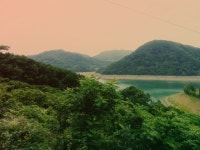 마그실관광농원