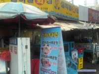 섬마을횟집